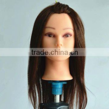 wholesale mannequin head for hair styling training