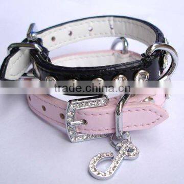 pet chain collar