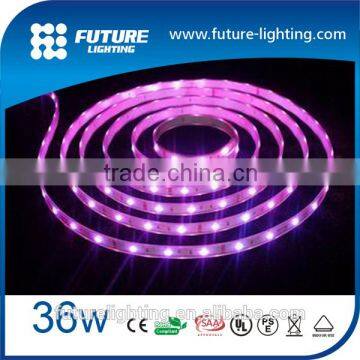 5M 12V 150Leds PCB 5050 SMD Warm White Flexible LED Strip Light