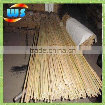 Strong and straight tonkin bamboo cane