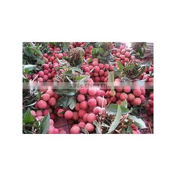 VIET NAM FRESH LYCHEE / LITCHI/LITCHEE