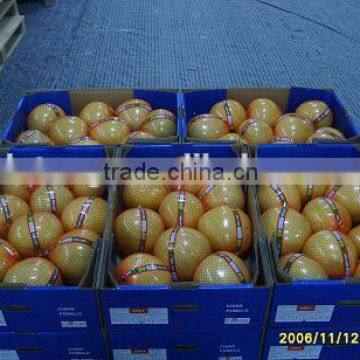 Chinese Grapefruit 8-9-10-11-12 Pcs Specification photo-5