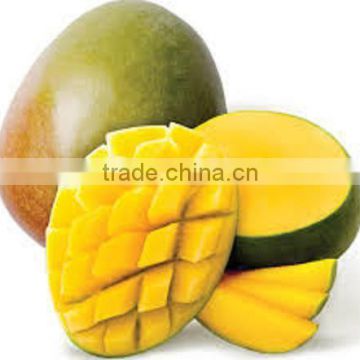 Fresh Style Sweet Mango from Egypt