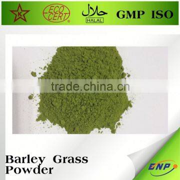 Organic Barley Grass Juice Powder Barley Green Powder photo-2