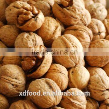 common Thin skin Walnuts in Shel, Unshelled Walnuts