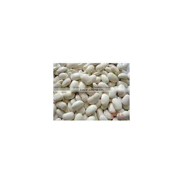 White Kidneybeans Extract Powder-JORY