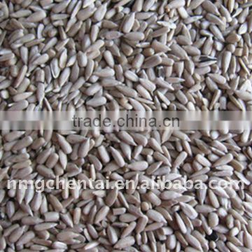 Bird Food Sunflower Kernels