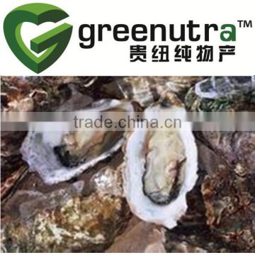 oyster extract