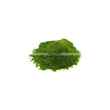 Natural Spinach Powder