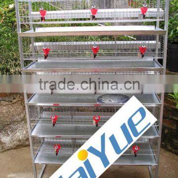 TAIYU Electro Galvanization Battery Quail Cage