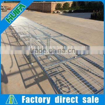 Agricultural Movable Fixed Seed Bed Greenhouse Rolling Bench for Sale photo-3
