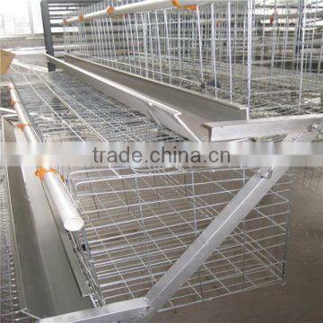 Automatic Poultry cages for chicken farm