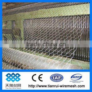 hexagonal wire mesh /chicken mesh / hexagonal wire netting