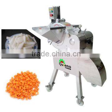 vegetable dicer/vegetable processing machinery