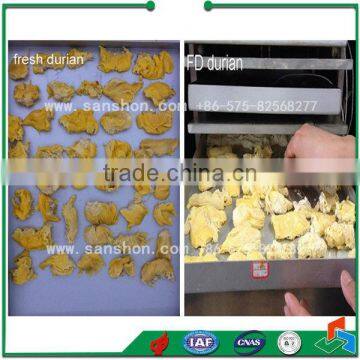 FDG Series Vacuum Freeze Dryer for Food photo-5