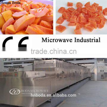 microwave industrial papaya drying machine