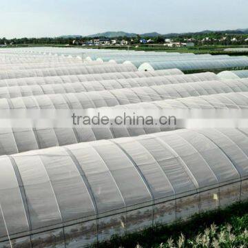 High Performance Pe Film Greenhouse For Strawberry photo-2