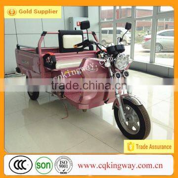 2015 China Electric cargo tricycle hot in Indonesia