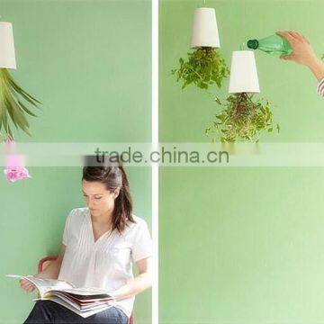 Plastic Sky Planter Creative Decorative Home Mini Sky Garden Flower Pot Beauty Sky Planter photo-4