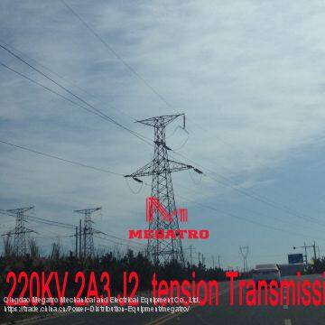 MEGATRO 110KV SGN-15-18-21 Tension Transmission Monopole photo-2