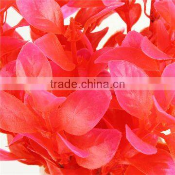 2016 Hot Sale Newest Aquarium Fish Tank Decoration Plastic Red Purple Plants Artificial Plants Grass Flower Ornament photo-6