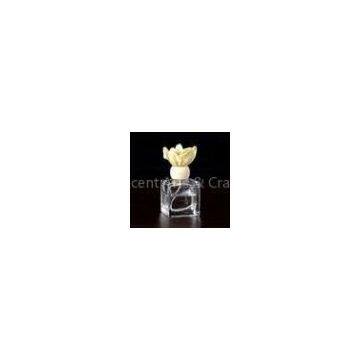Customizing Aroma Oil Clear Glass Cube Reed Diffuser with Sola Flower TS-GRD02