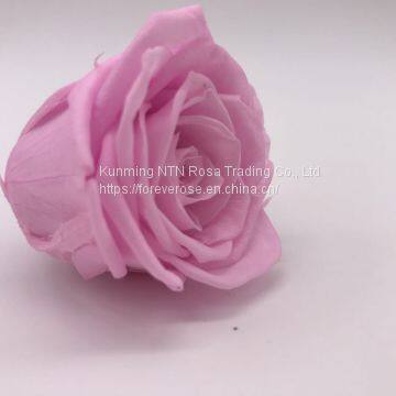 Excellent Valentine's Day Gift Roses Wholesale Preserved Floria Fresh Flowers photo-2