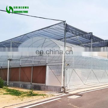 Low price garden greenhouse/greenhouse agriculture