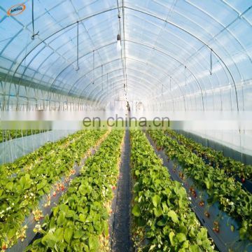 150 micron pe plastic transparent blue greenhouse film fastening for sale