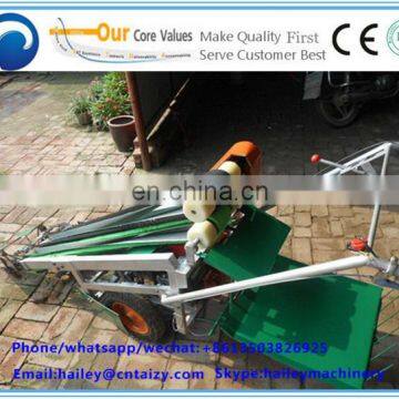 Best Price Selling of Leek/New Harvested Fresh Leek photo-6