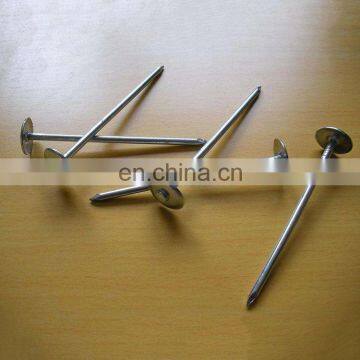 Cheap Umbrella Head 14-20mm Roofing Nails Galvanized