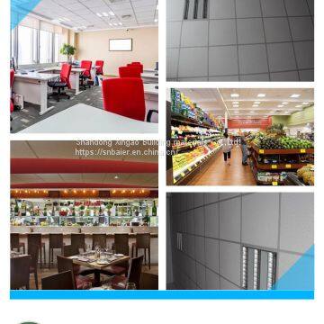 The Strongest Skeleton of Gypsum Ceiling ---- T Grid, the Most Perfect Match.