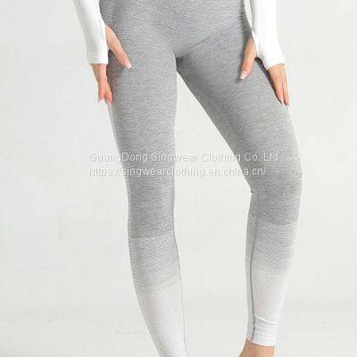 Women's sexy santoni seamless quick dry & wicking high strength legging.