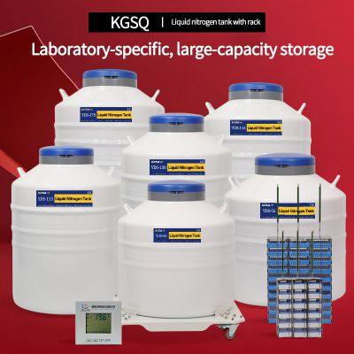 Angola-liquid nitrogen tank for cell storage price-liquid nitrogen container 65 liter