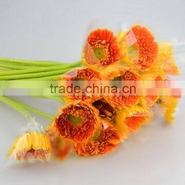 Factory Golden Sun cheap golden gerbera