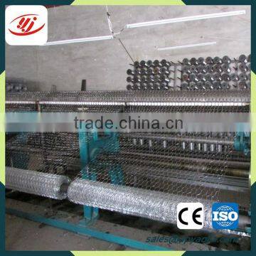 Galvanized Chicken Hexagonal Wire Netting Made In China