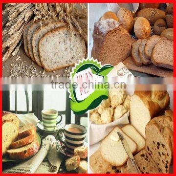 China HALAL Health Food! Wheat Germ photo-4