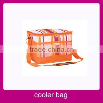 Folding Large Insulated Lunch Bags Cans Cooler Bag