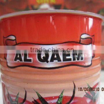 400g canned tomato paste export to Africa,Mid-east,Europe