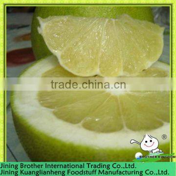 China honey pomelo exporter