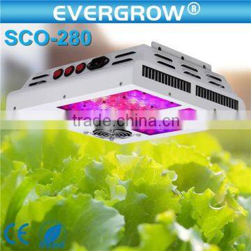 EverGrow 2016 newest SAGA full spectrum hydroponic 5 watt led grow light