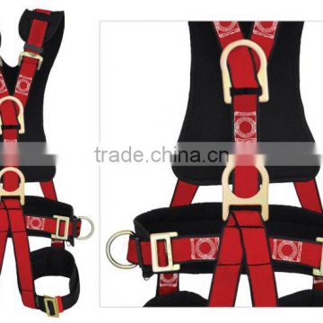 BODY HARNESS