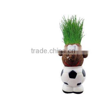 Wedding Return Gift Cheap Planters and Pots Best Plants for Plant Pot Sale photo-2