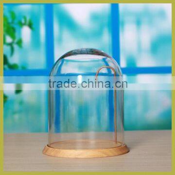 glass cloche for decoration, glass dome with wooden base