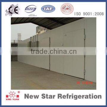 Cold room freezer swing door