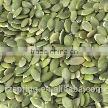 PUMPKIN SEED KERNELS