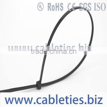 Fast Delivery Factory Price Self-Locking Plastic Ties