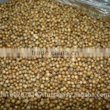 Coriander seeds