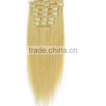 Premium Clip Hair Weft - Clip hair Extension 24# iN Stock