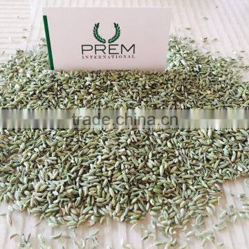 Fennel Seeds